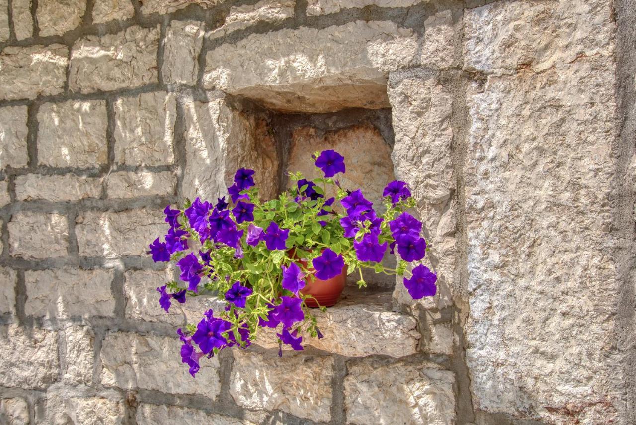 Vila Stari Mlin Ivanovici Bagian luar foto