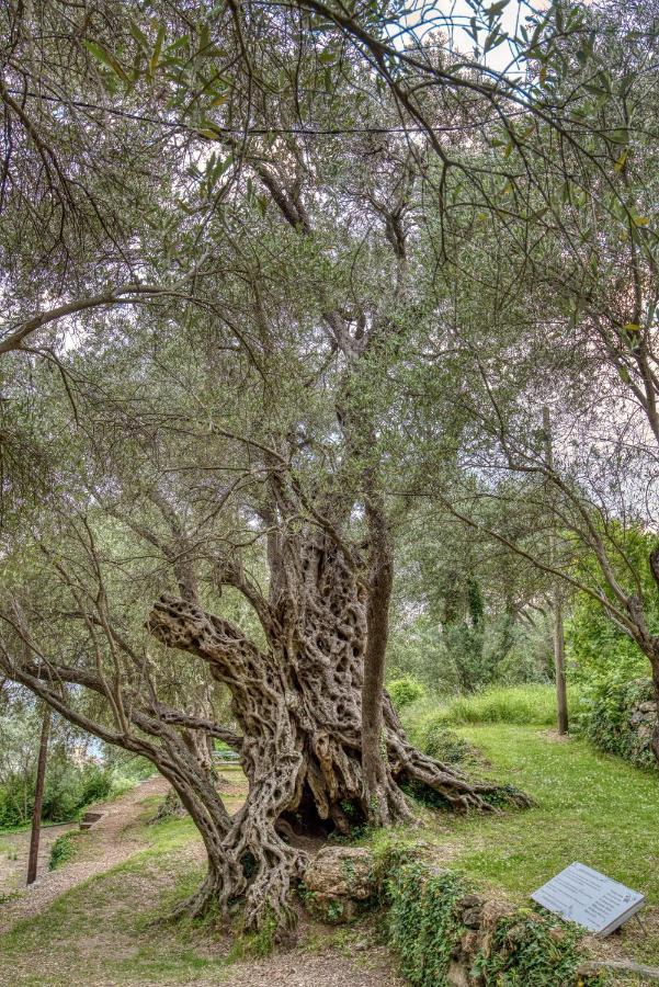 Vila Stari Mlin Ivanovici Bagian luar foto